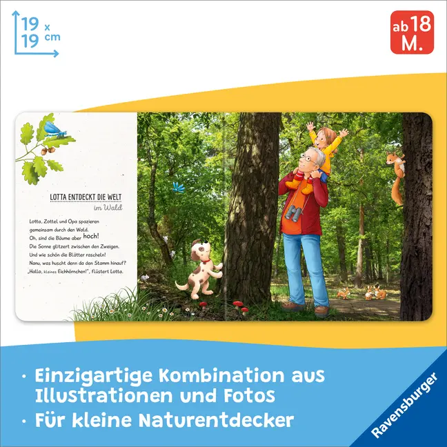 Bild: 9783473438785 | Lotta entdeckt die Welt: Im Wald | Sandra Grimm | Buch | Naturstart