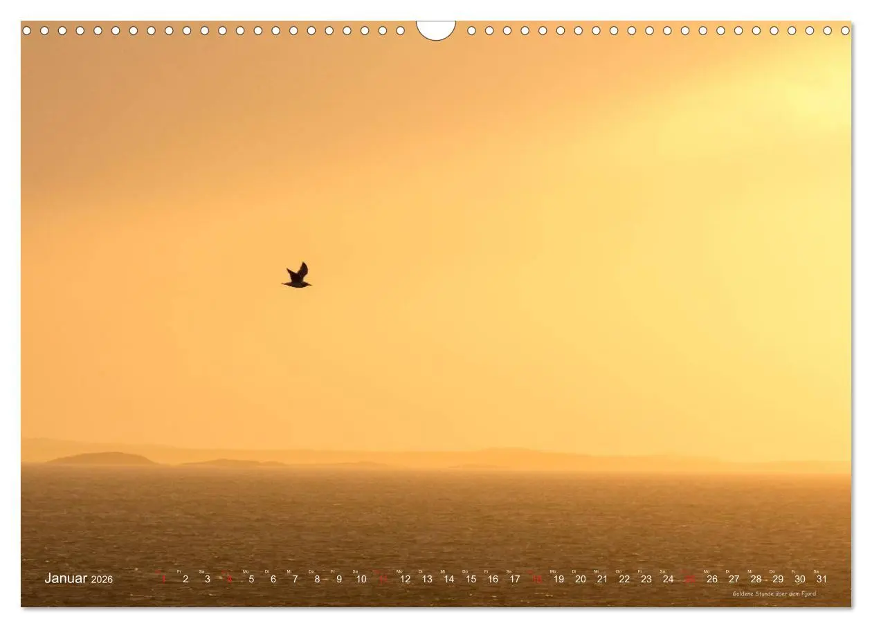 Bild: 9783516238785 | Hurtigruten im Winter - Hunting the light (Wandkalender 2026 DIN A3...