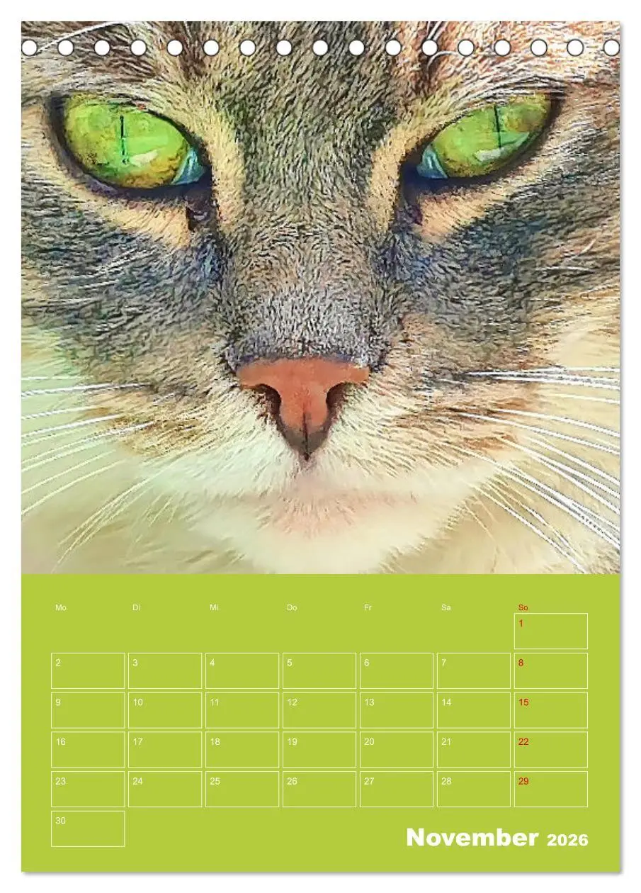 Bild: 9783516308785 | Cat Faces - Charakterstarke Katzengesichter ganz nah (Tischkalender...