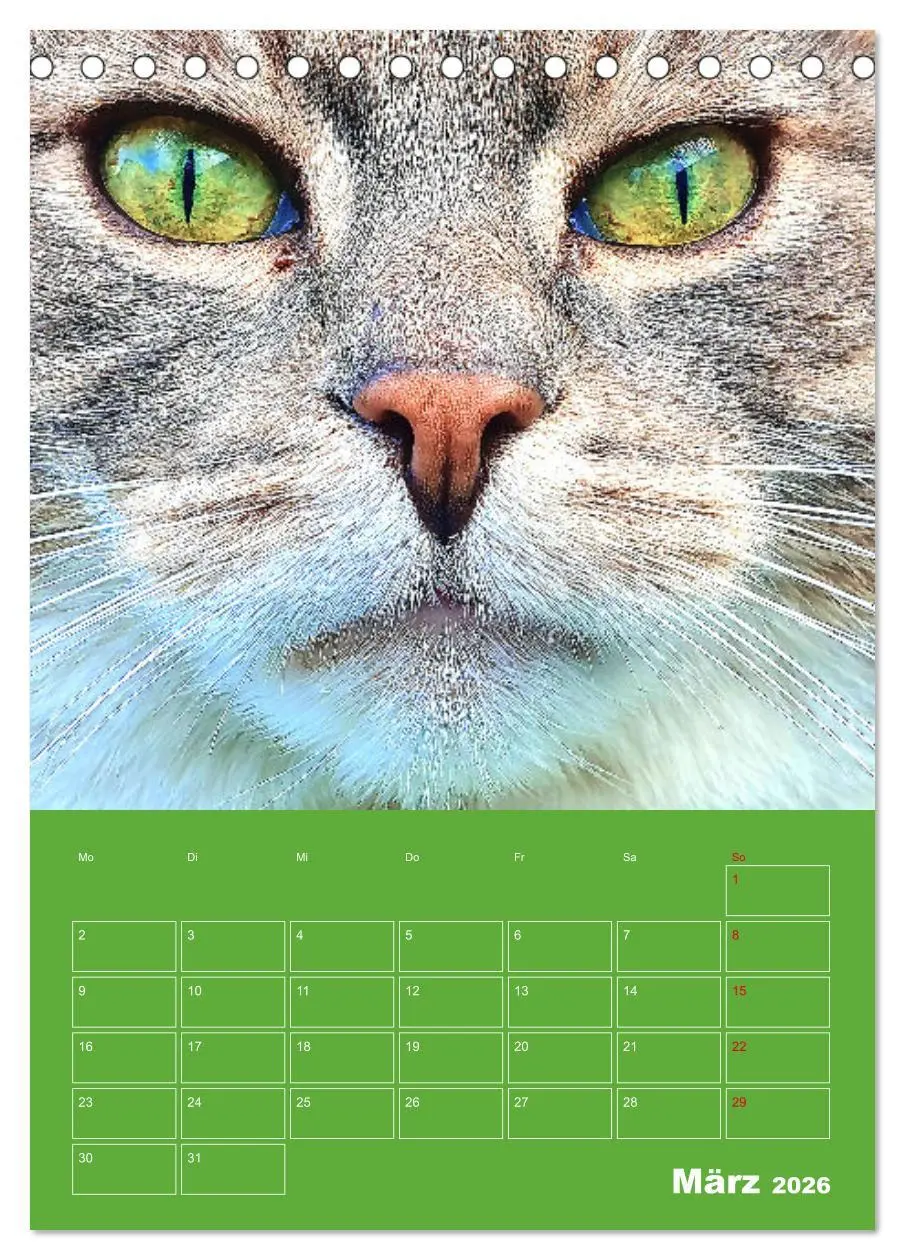 Bild: 9783516308785 | Cat Faces - Charakterstarke Katzengesichter ganz nah (Tischkalender...