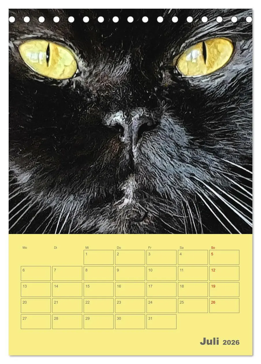 Bild: 9783516308785 | Cat Faces - Charakterstarke Katzengesichter ganz nah (Tischkalender...