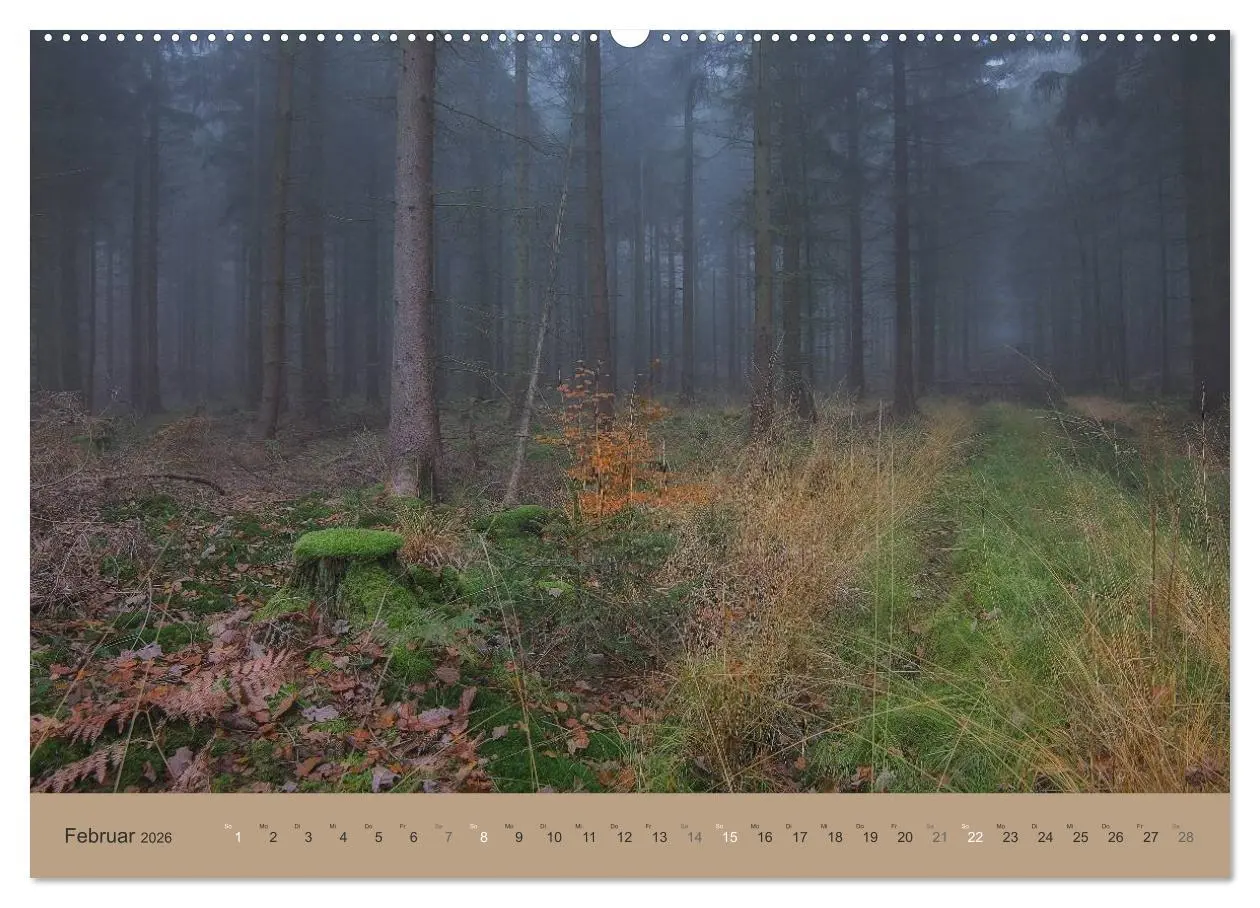 Bild: 9783516158885 | Unser Wald - Magische Sichten in norddeutsche Wälder (hochwertiger...