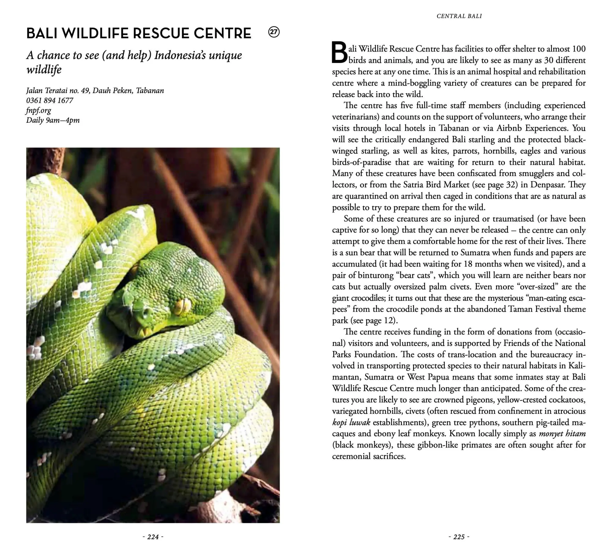 Bild: 9782361958985 | Secret Bali - An Unusual Guide | Narina Exelby (u. a.) | Taschenbuch