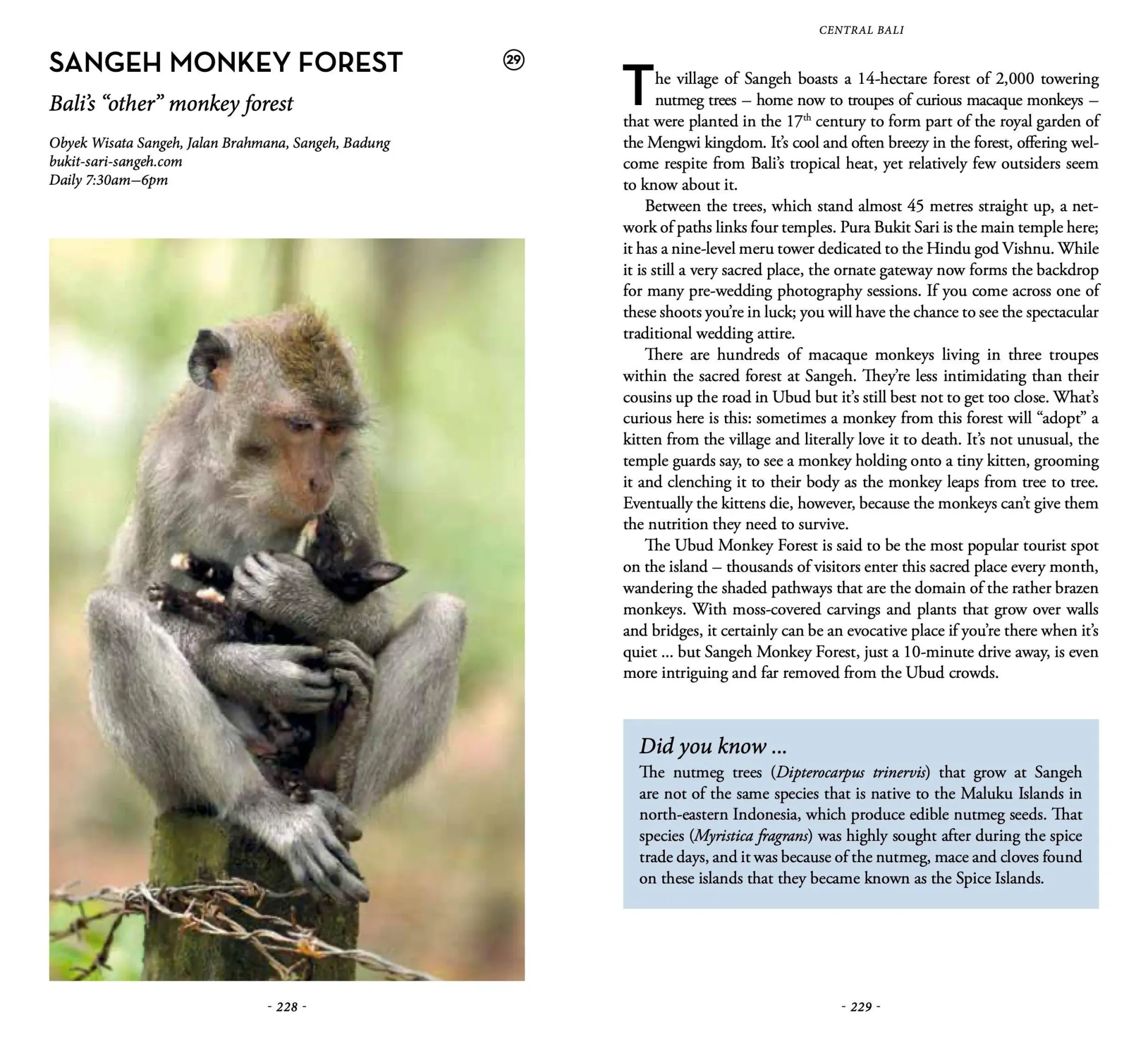 Bild: 9782361958985 | Secret Bali - An Unusual Guide | Narina Exelby (u. a.) | Taschenbuch