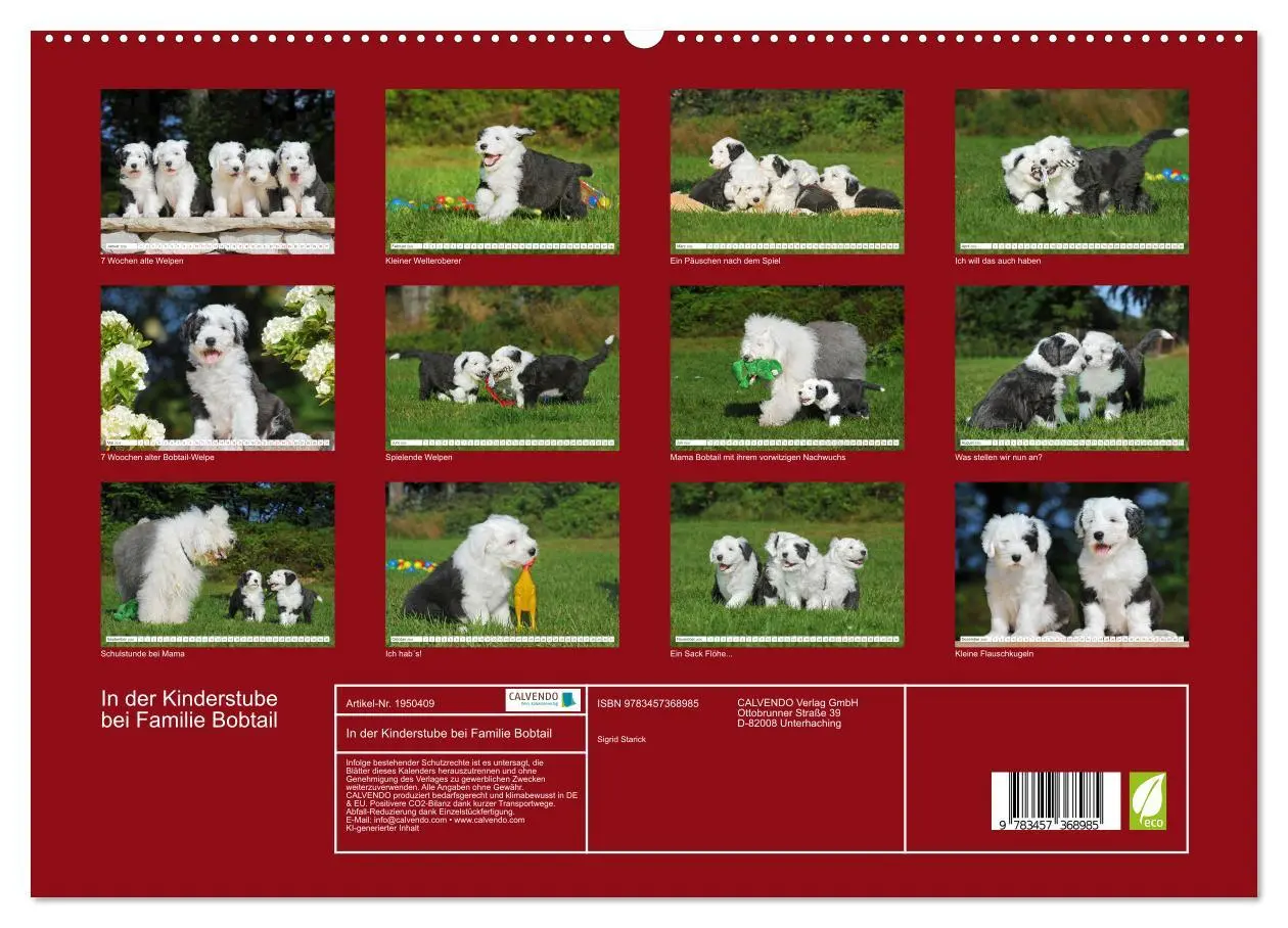 Bild: 9783457368985 | In der Kinderstube bei Familie Bobtail (hochwertiger Premium...