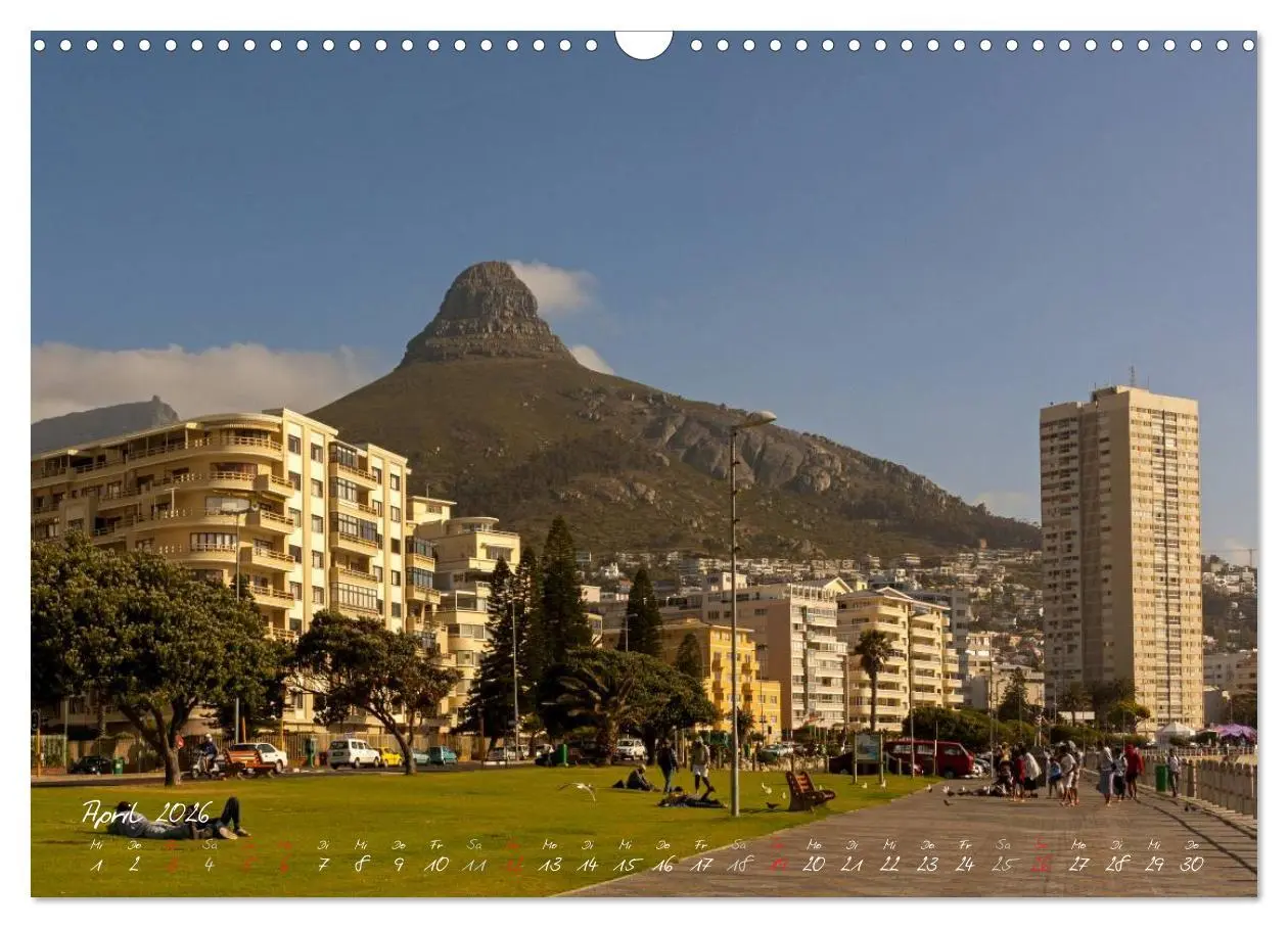 Bild: 9783516218985 | Am Kap von Südafrika (Wandkalender 2026 DIN A3 quer), CALVENDO...