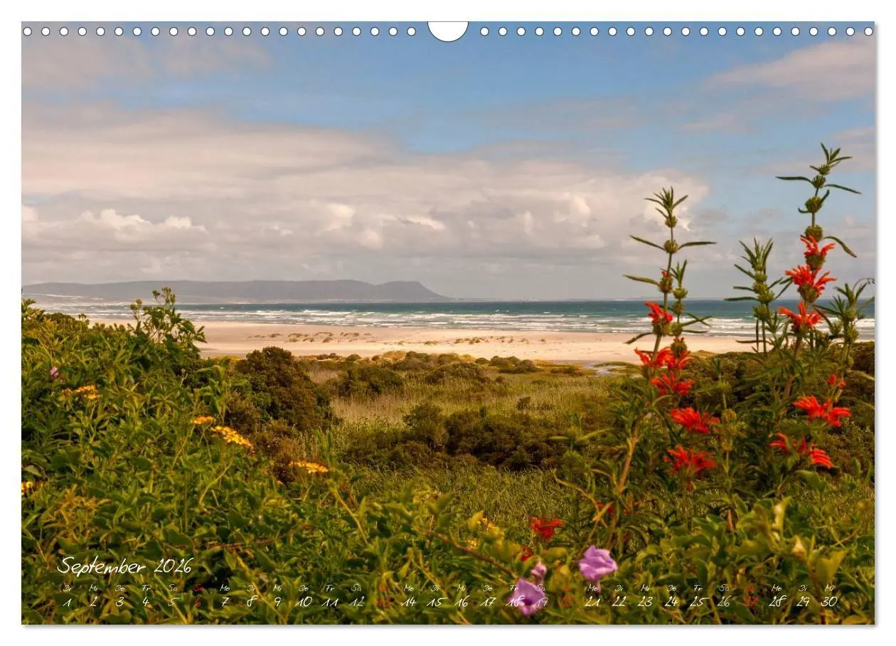 Bild: 9783516218985 | Am Kap von Südafrika (Wandkalender 2026 DIN A3 quer), CALVENDO...