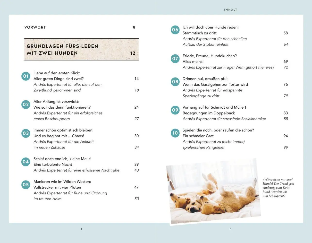 Bild: 9783833878985 | Wahres Hundeglück im Doppelpack | Julie Leuze (u. a.) | Buch | 208 S.
