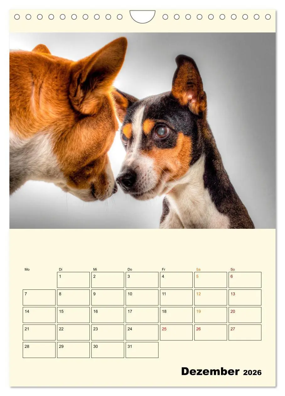 Bild: 9783516349085 | Lustig verrückt - der Tierkalender (Wandkalender 2026 DIN A4 hoch),...