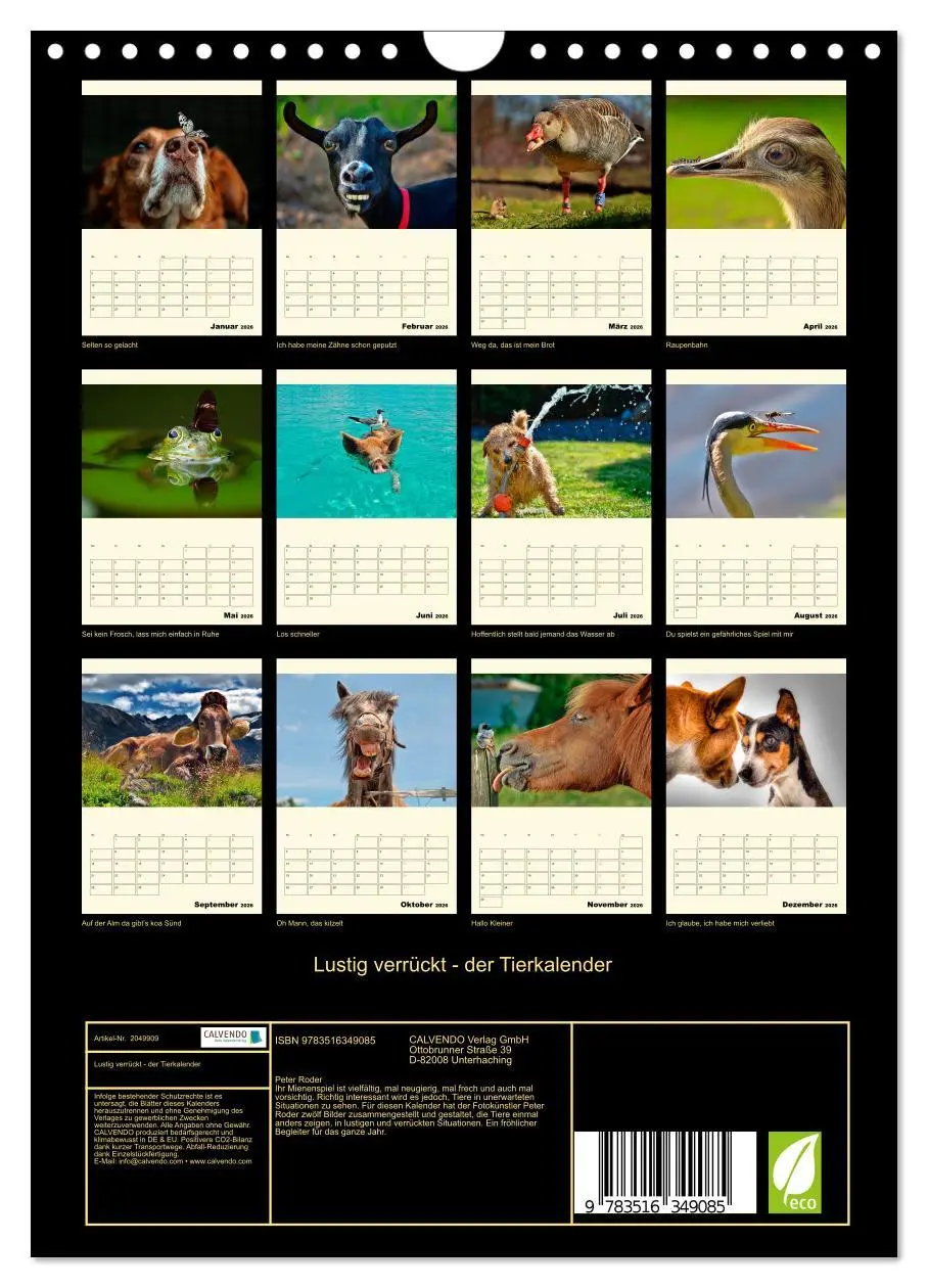 Bild: 9783516349085 | Lustig verrückt - der Tierkalender (Wandkalender 2026 DIN A4 hoch),...