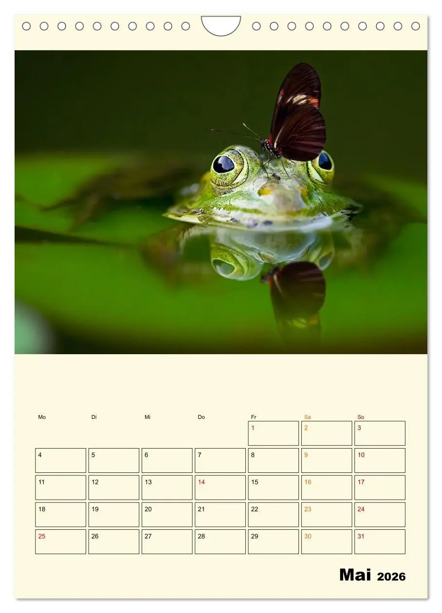 Bild: 9783516349085 | Lustig verrückt - der Tierkalender (Wandkalender 2026 DIN A4 hoch),...