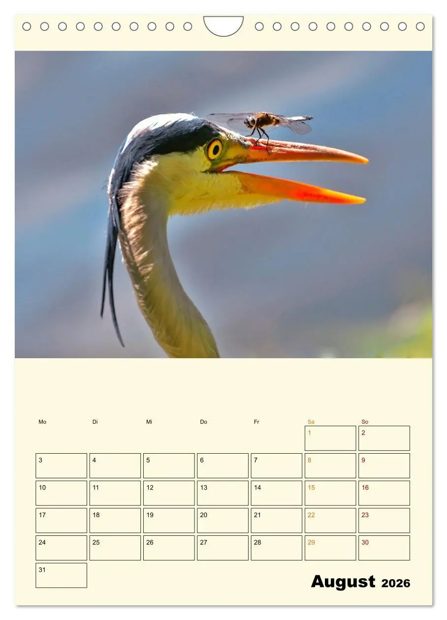 Bild: 9783516349085 | Lustig verrückt - der Tierkalender (Wandkalender 2026 DIN A4 hoch),...