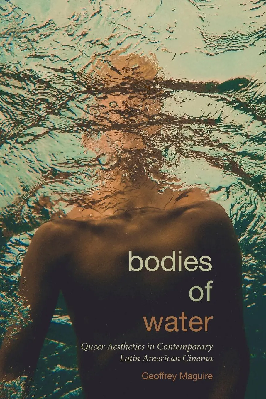Cover: 9781438499185 | Bodies of Water | Geoffrey Maguire | Taschenbuch | Englisch | 2025