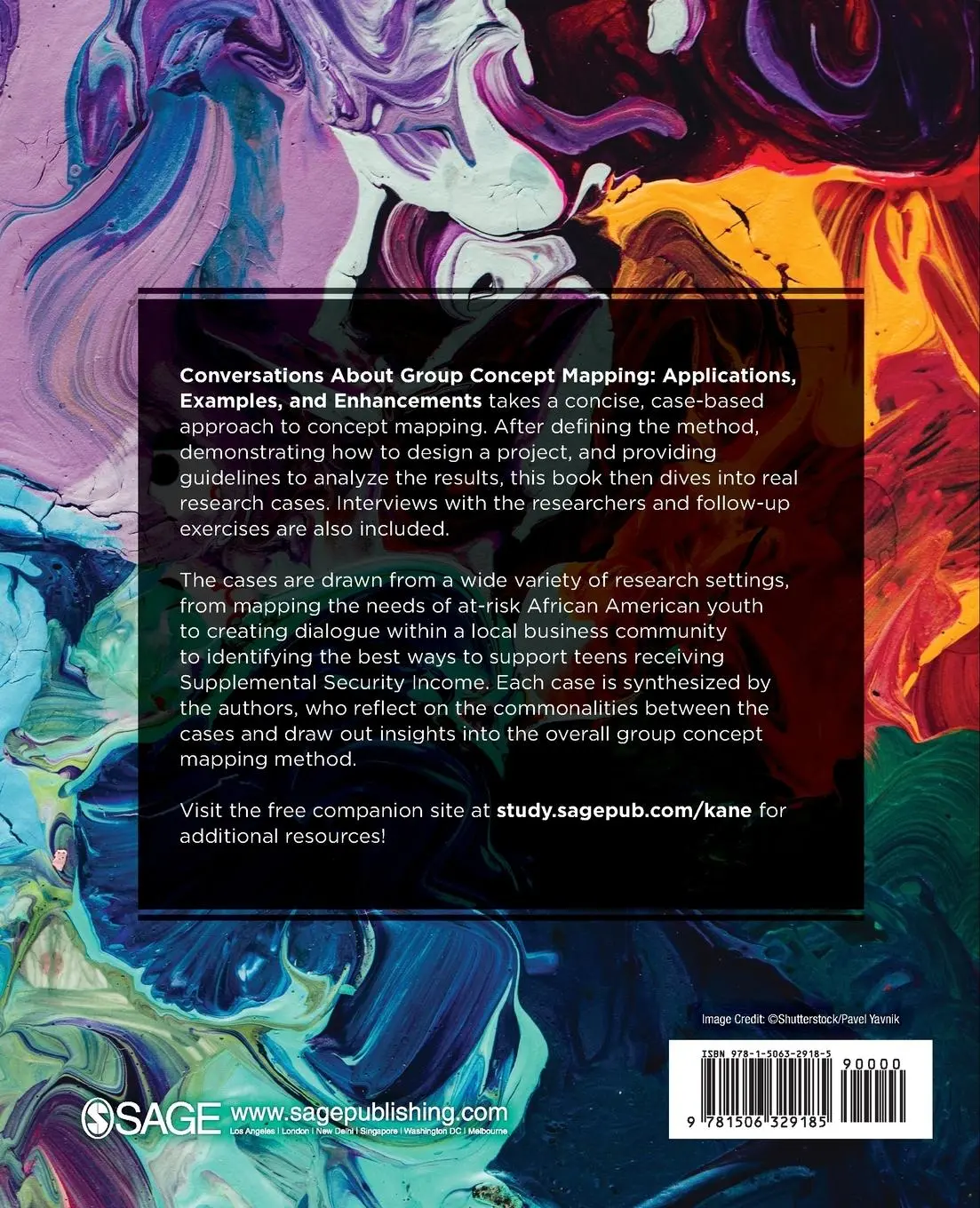 Rückseite: 9781506329185 | Conversations About Group Concept Mapping | Mary Kane (u. a.) | Buch