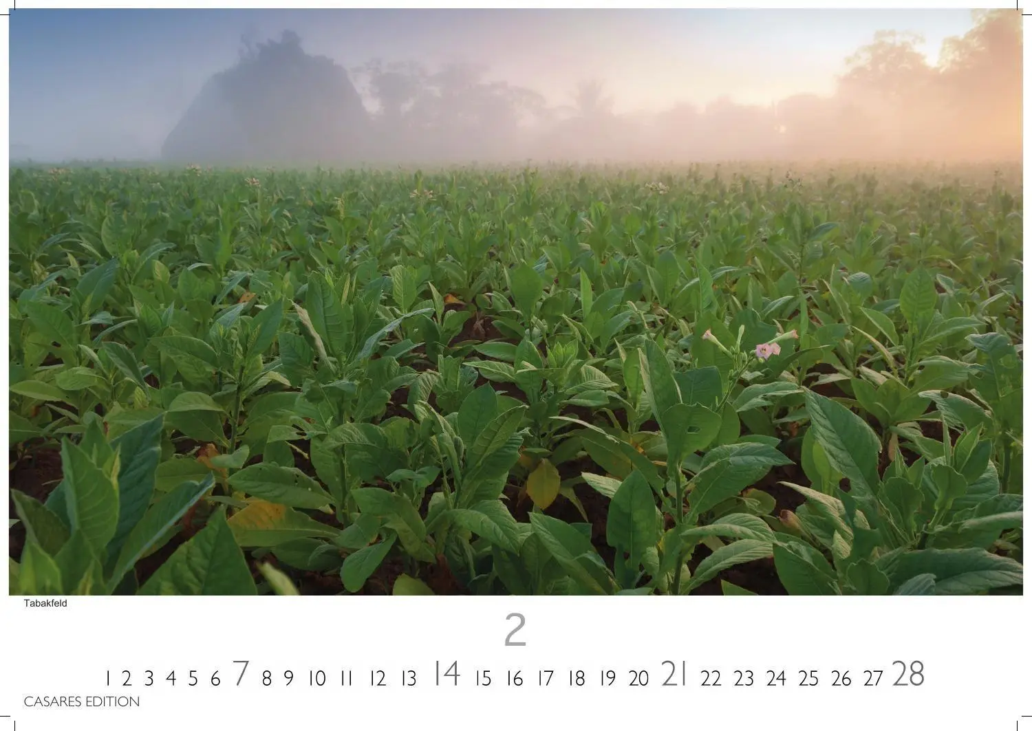 Bild: 9781835249185 | Cuba Kalender 2027 - Wandkalender Fotokalender Karibik 24x35cm -...