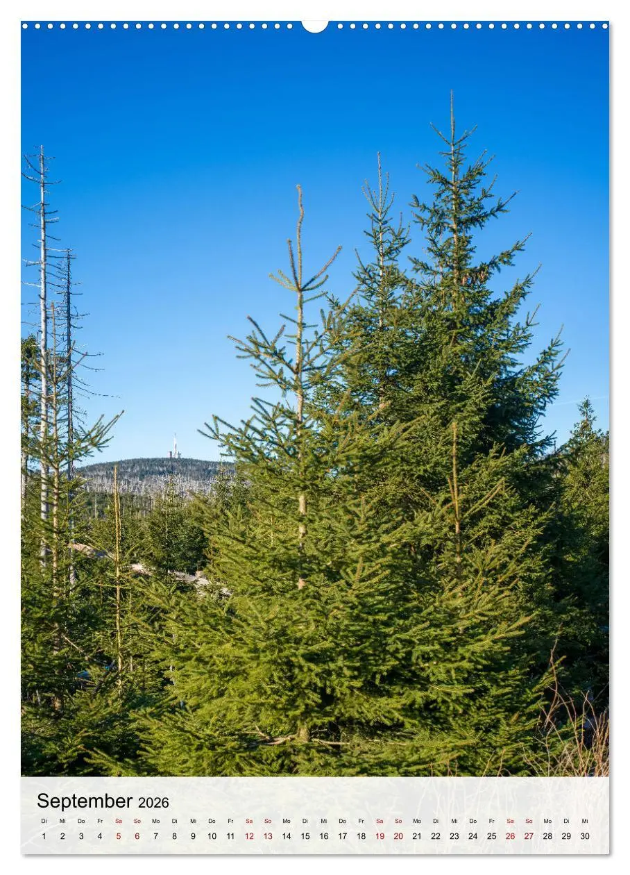 Bild: 9783457249185 | Harzer Landschaften - 12 Monate im Naturparadies Harz (Wandkalender...