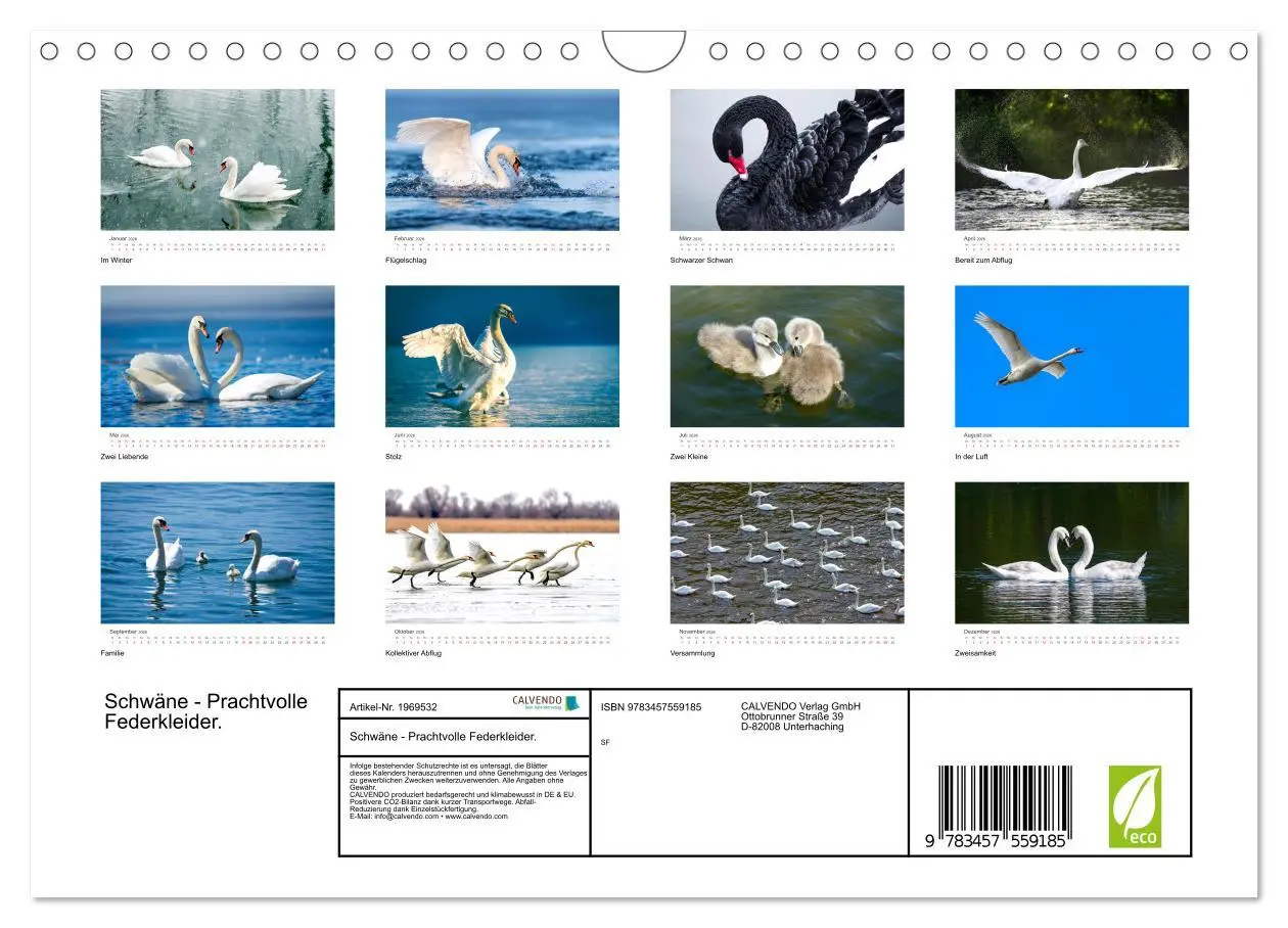 Bild: 9783457559185 | Schwäne - Prachtvolle Federkleider. (Wandkalender 2026 DIN A4...
