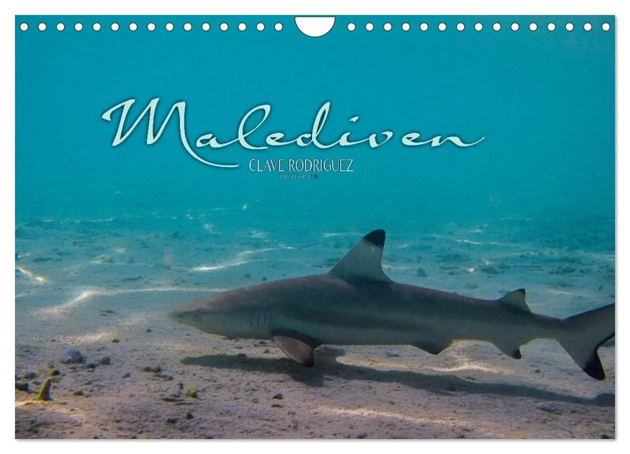 Cover: 9783516199185 | Unterwasserwelt der Malediven I (Wandkalender 2026 DIN A4 quer),...