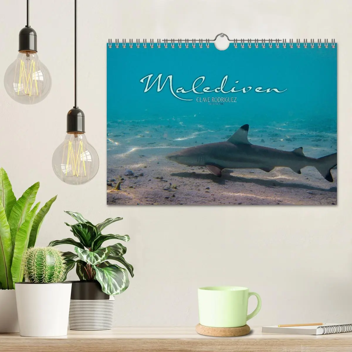 Bild: 9783516199185 | Unterwasserwelt der Malediven I (Wandkalender 2026 DIN A4 quer),...