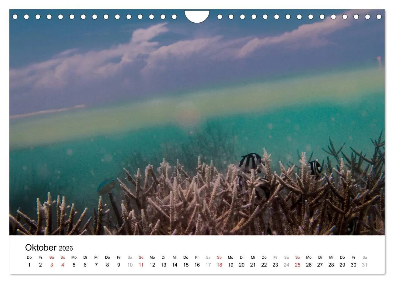 Bild: 9783516199185 | Unterwasserwelt der Malediven I (Wandkalender 2026 DIN A4 quer),...