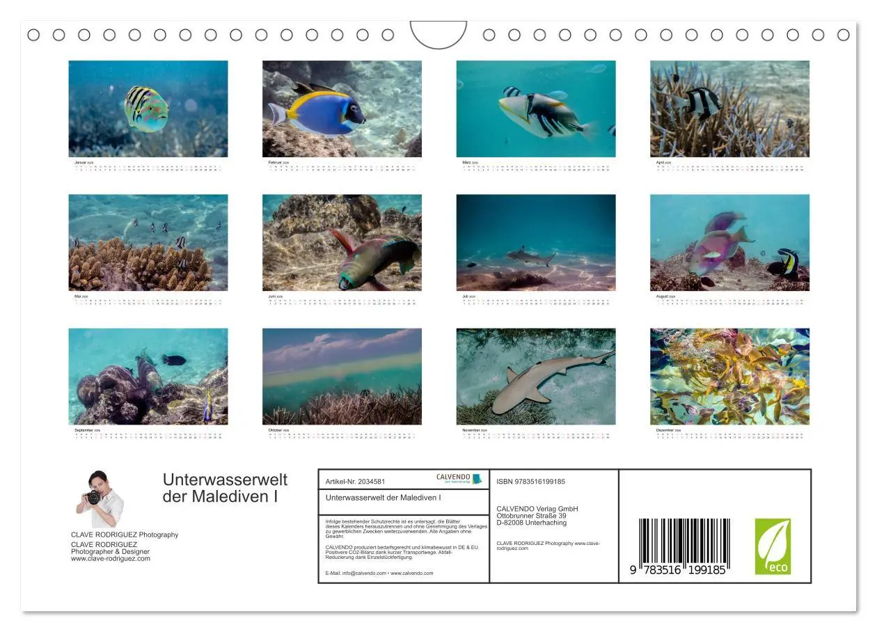 Bild: 9783516199185 | Unterwasserwelt der Malediven I (Wandkalender 2026 DIN A4 quer),...