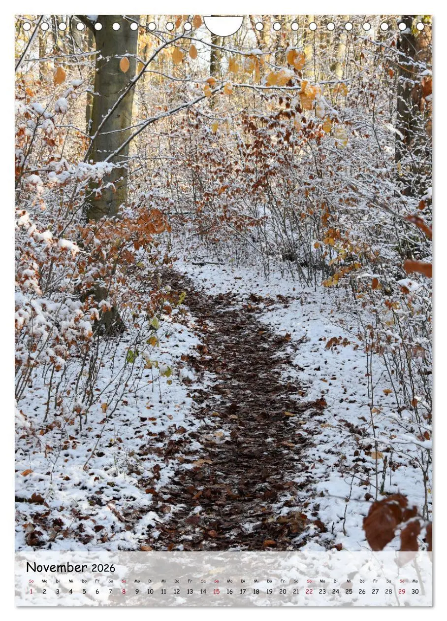 Bild: 9783516489385 | Wege als Traumpfade (Wandkalender 2026 DIN A4 hoch), CALVENDO...