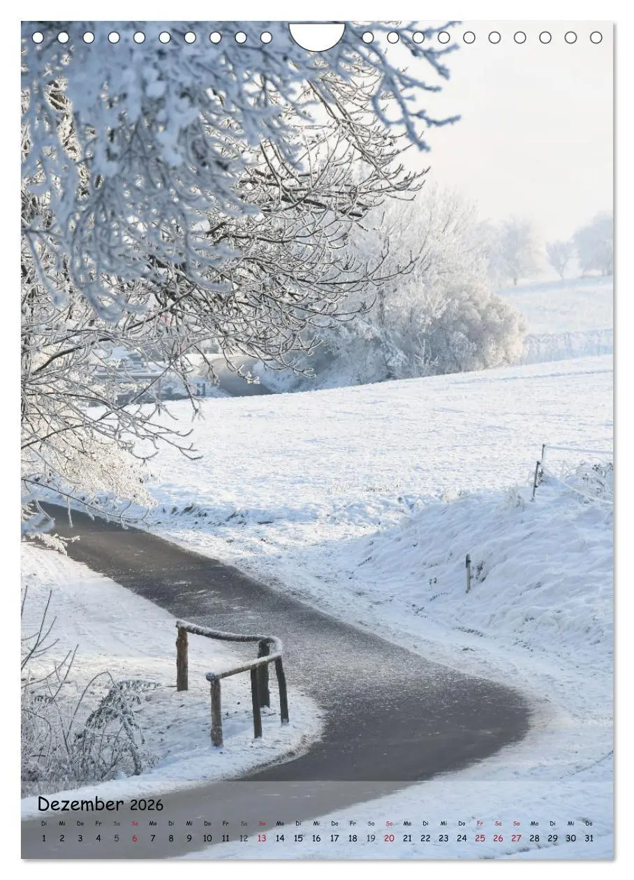 Bild: 9783516489385 | Wege als Traumpfade (Wandkalender 2026 DIN A4 hoch), CALVENDO...