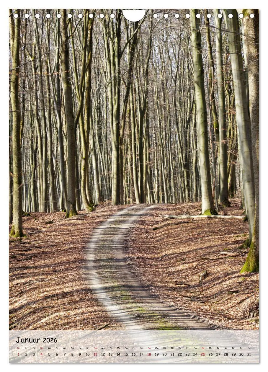 Bild: 9783516489385 | Wege als Traumpfade (Wandkalender 2026 DIN A4 hoch), CALVENDO...