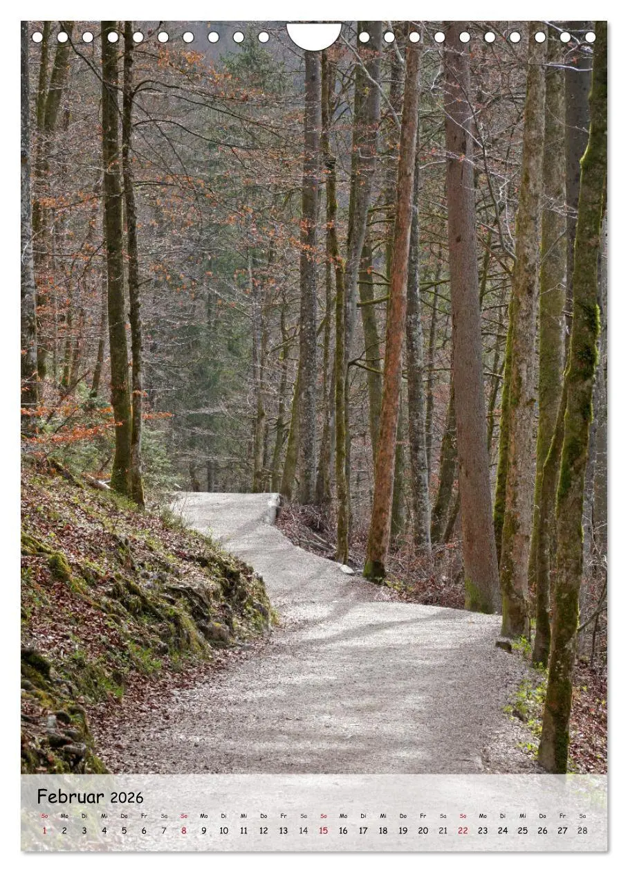 Bild: 9783516489385 | Wege als Traumpfade (Wandkalender 2026 DIN A4 hoch), CALVENDO...