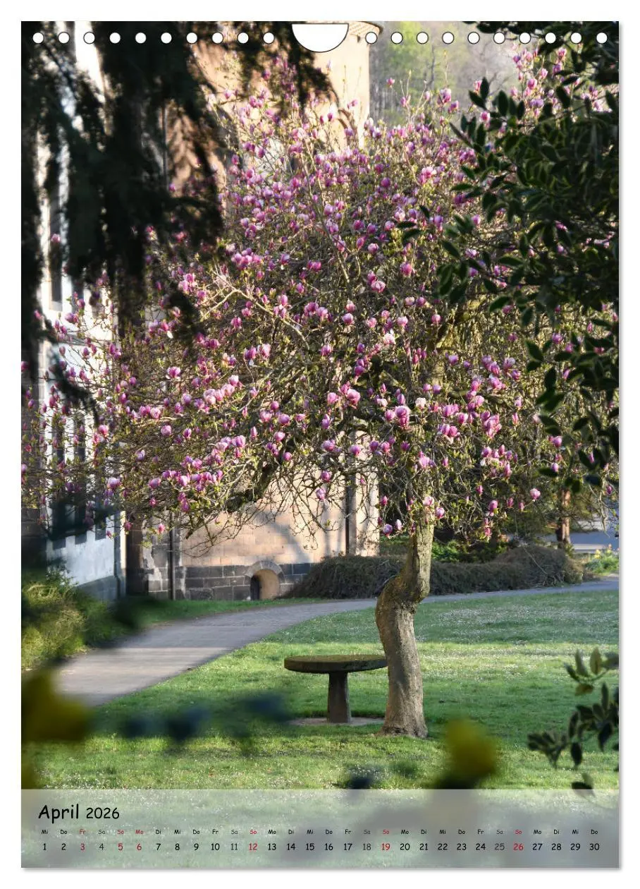 Bild: 9783516489385 | Wege als Traumpfade (Wandkalender 2026 DIN A4 hoch), CALVENDO...