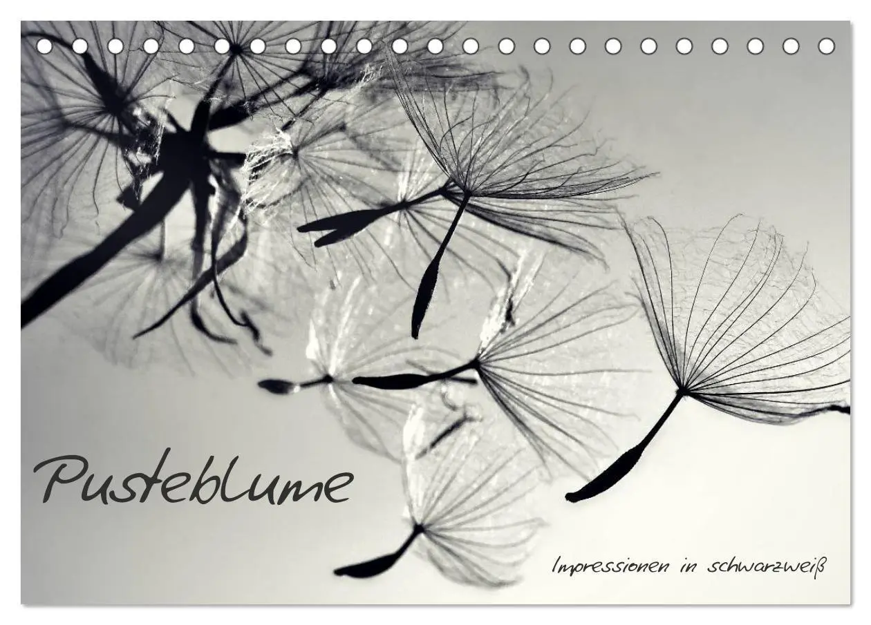 Cover: 9783594089385 | Pusteblume - Impressionen in schwarzweiß (Tischkalender 2027 DIN A5...