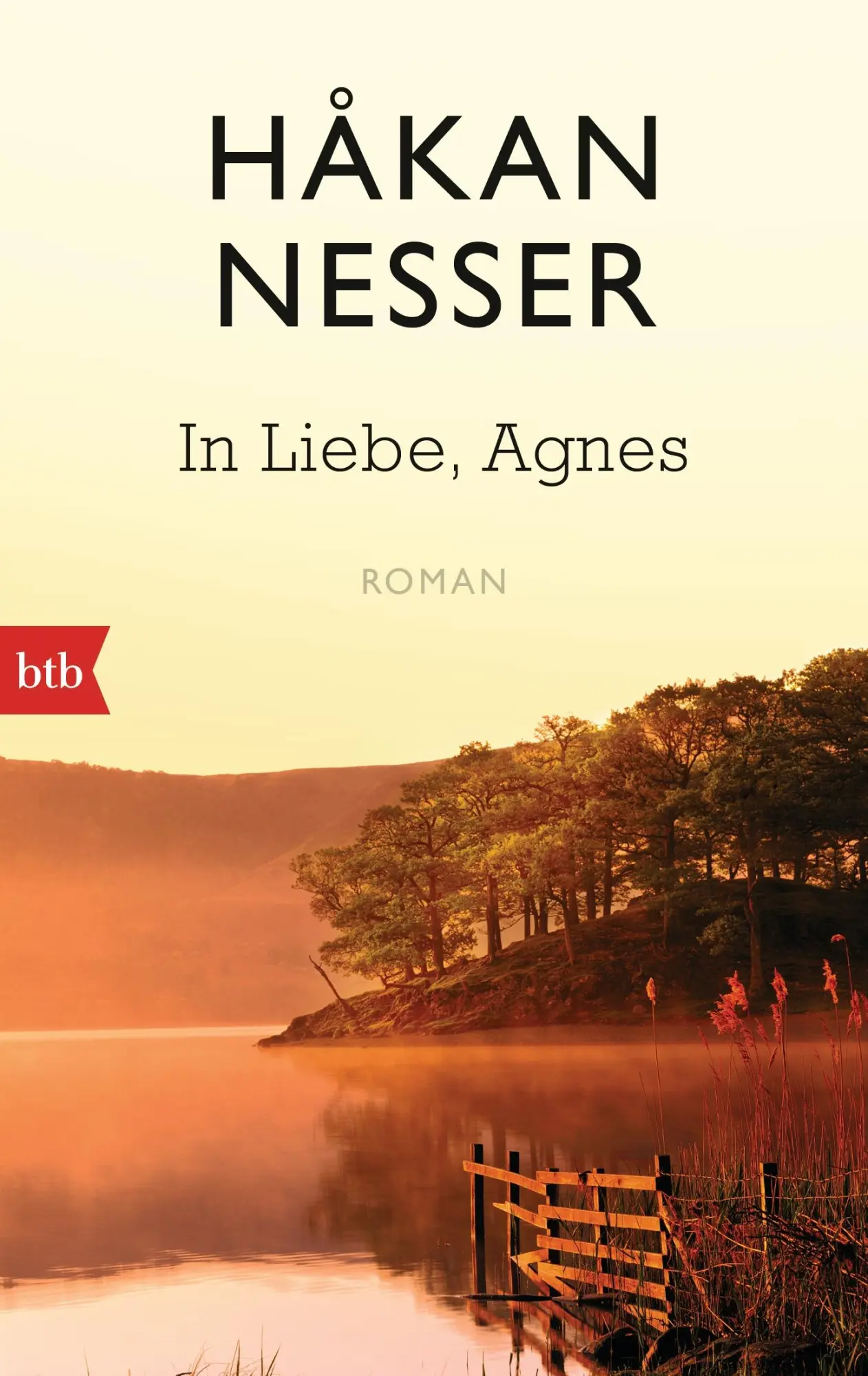 Cover: 9783442749485 | In Liebe, Agnes | Håkan Nesser | Taschenbuch | btb | 160 S. | Deutsch