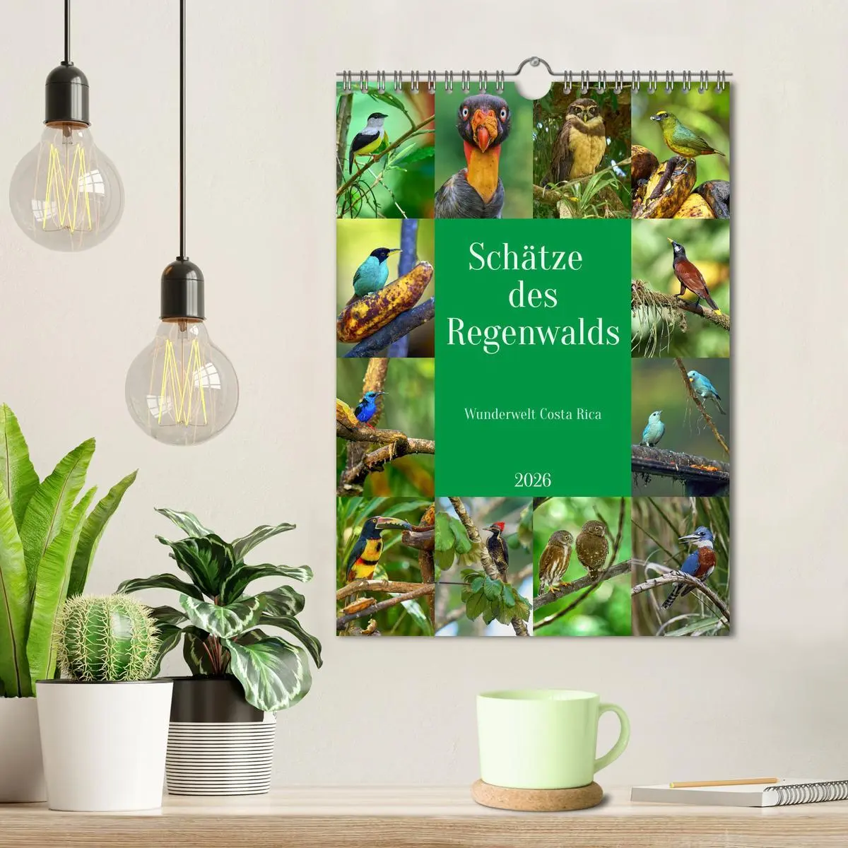 Bild: 9783516619485 | Schätze des Regenwalds (Wandkalender 2026 DIN A4 hoch), CALVENDO...
