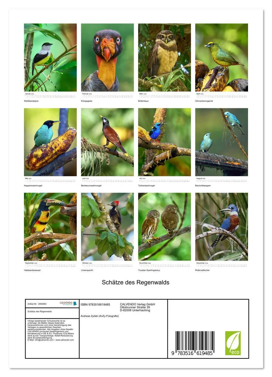 Bild: 9783516619485 | Schätze des Regenwalds (Wandkalender 2026 DIN A4 hoch), CALVENDO...