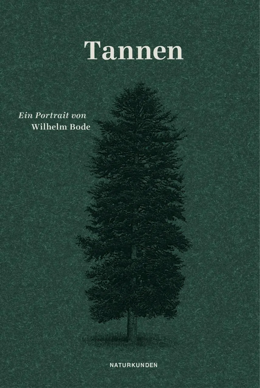 Cover: 9783957579485 | Tannen | Ein Portrait | Wilhelm Bode | Buch | Naturkunden | 156 S.