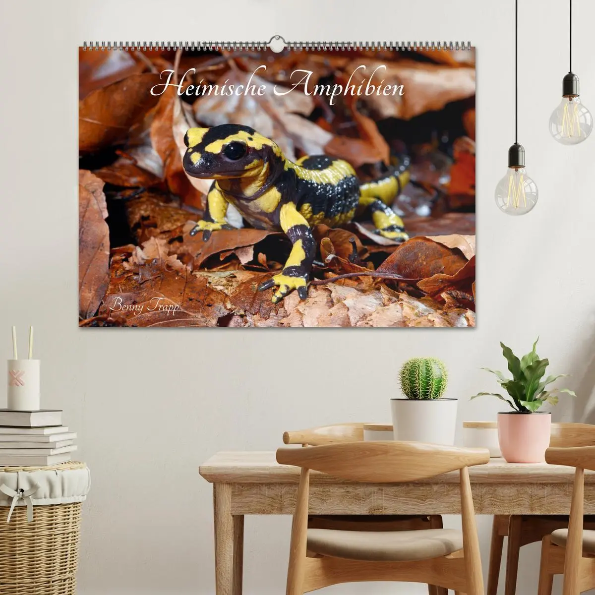 Bild: 9783457749685 | Heimische Amphibien (Wandkalender 2026 DIN A2 quer), CALVENDO...