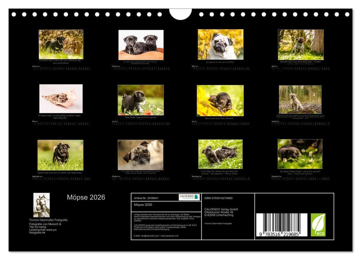 Bild: 9783516219685 | Möpse 2026 (Wandkalender 2026 DIN A4 quer), CALVENDO Monatskalender