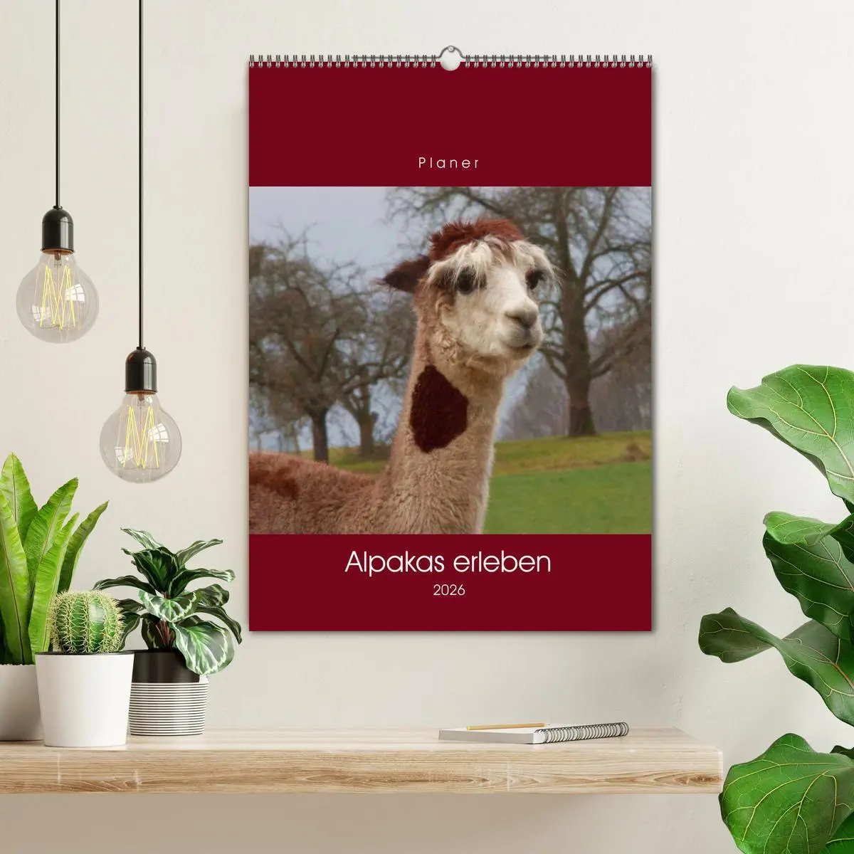 Bild: 9783516389685 | Alpakas erleben (Wandkalender 2026 DIN A2 hoch), CALVENDO...