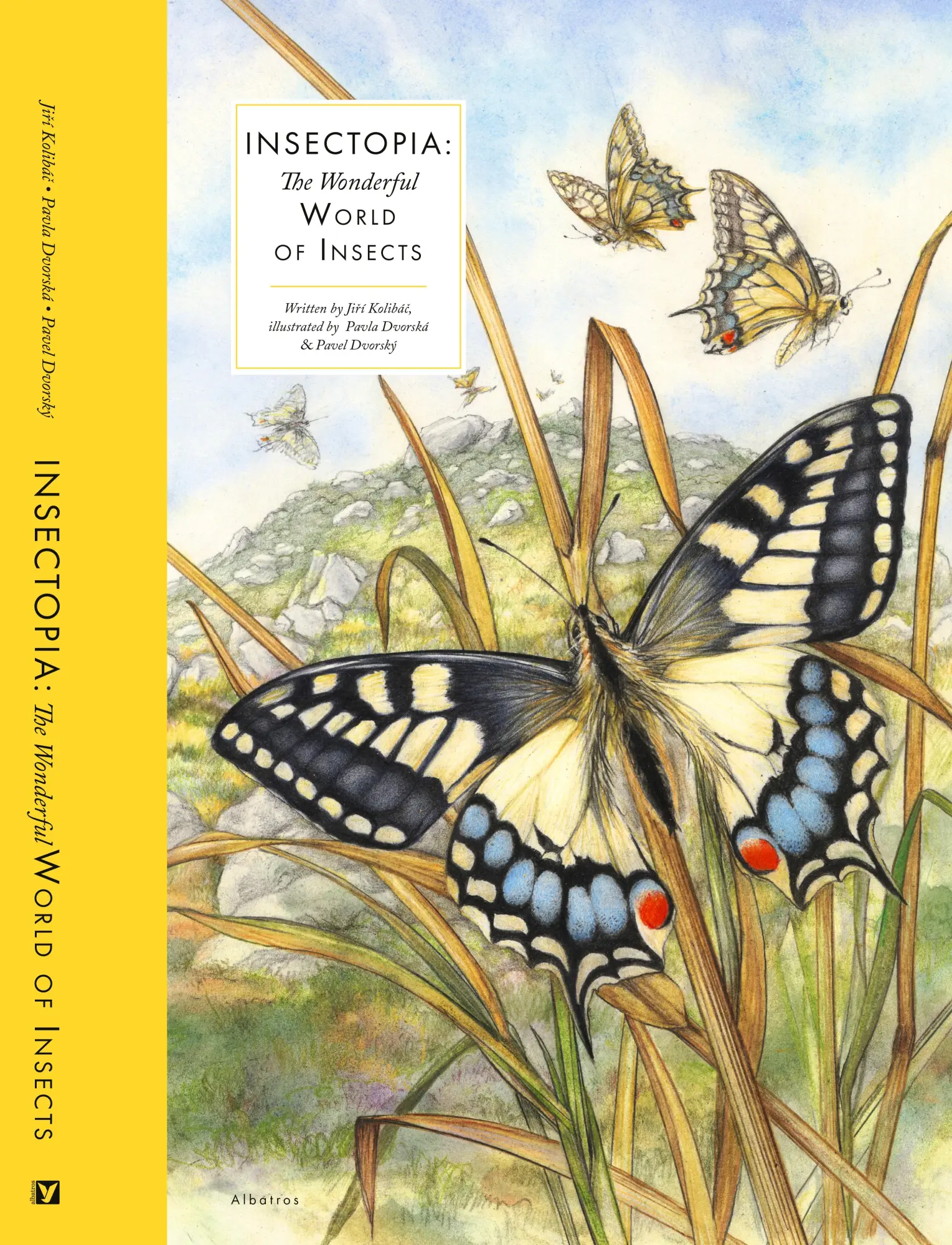Cover: 9788000069685 | Insectopia | The Wonderful World of Insects | Jiri Kolibac | Buch