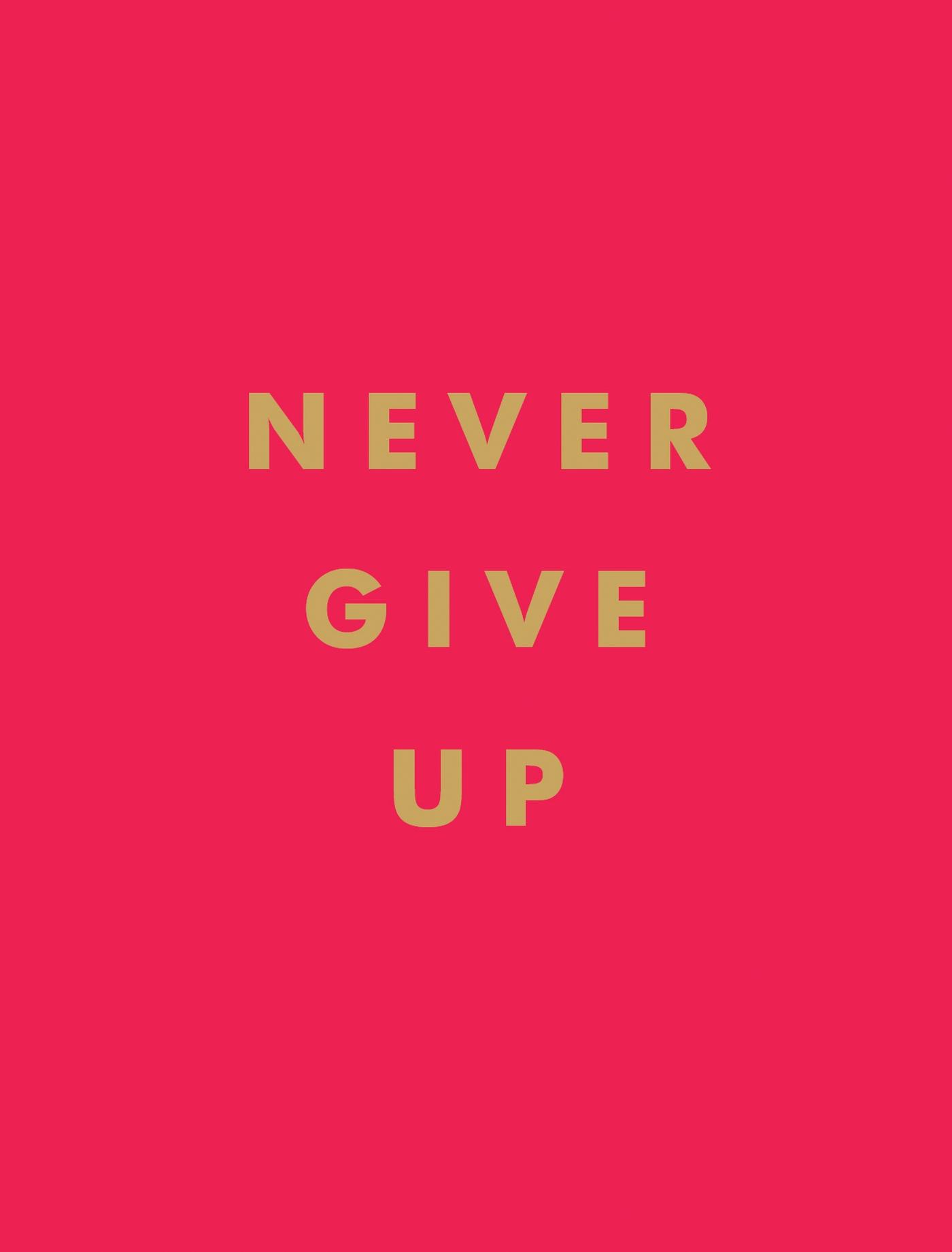 Cover: 9781786859785 | Never Give Up | Summersdale | Buch | Gebunden | Englisch | 2019