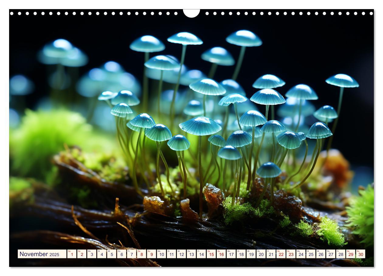 Bild: 9783383869785 | Wunderwelt Mikrokosmos (Wandkalender 2025 DIN A3 quer), CALVENDO...