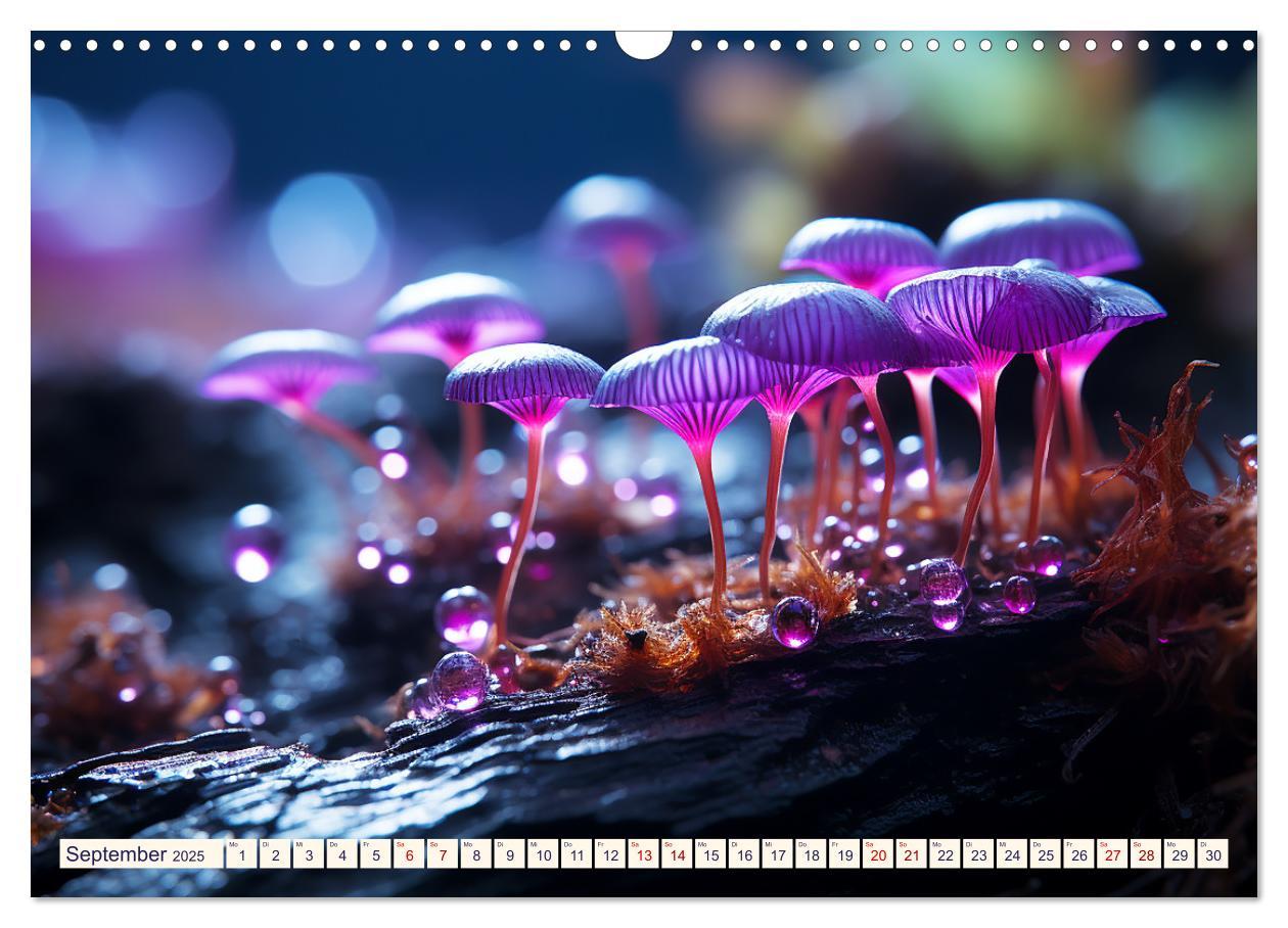 Bild: 9783383869785 | Wunderwelt Mikrokosmos (Wandkalender 2025 DIN A3 quer), CALVENDO...