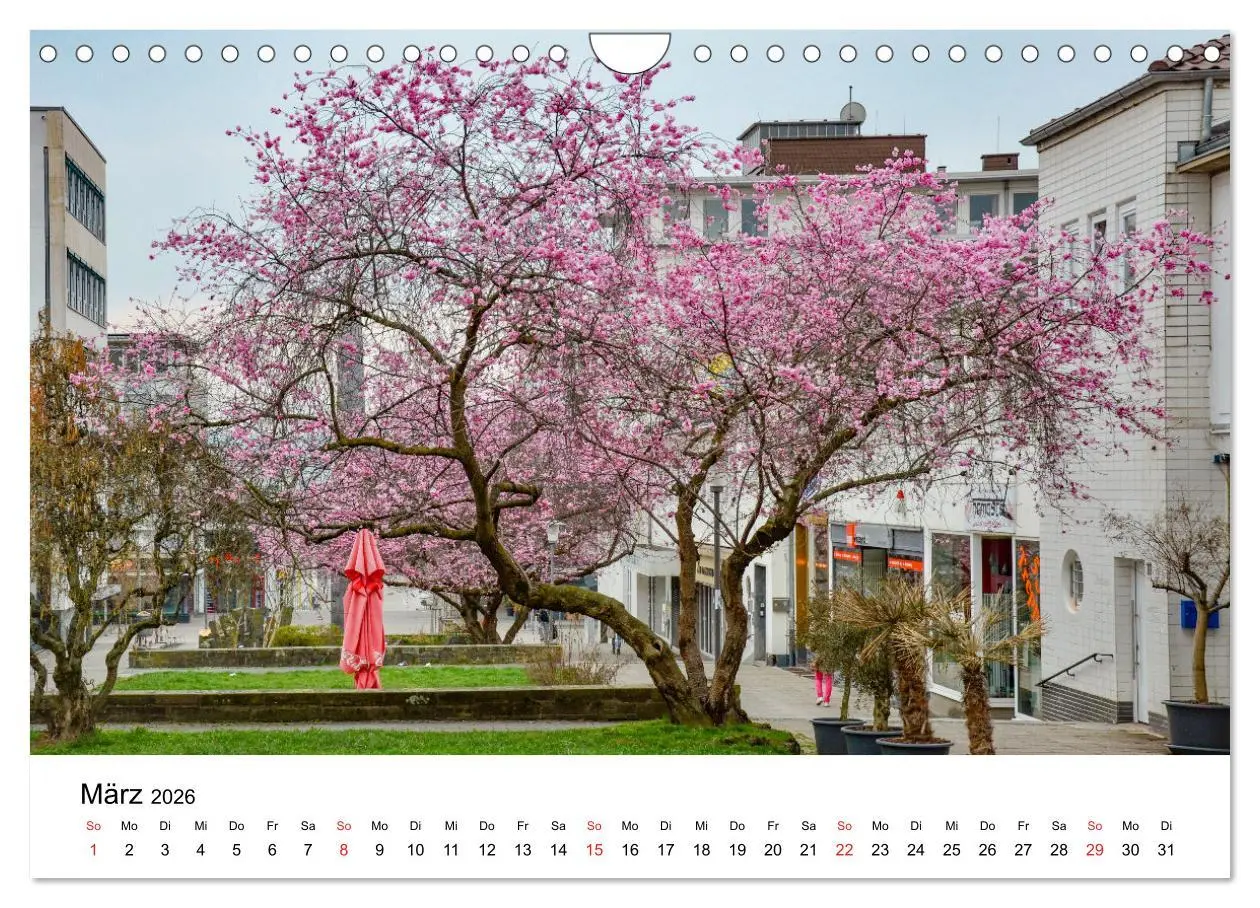 Bild: 9783457739785 | Kassel - Morgenlicht (Wandkalender 2026 DIN A4 quer), CALVENDO...
