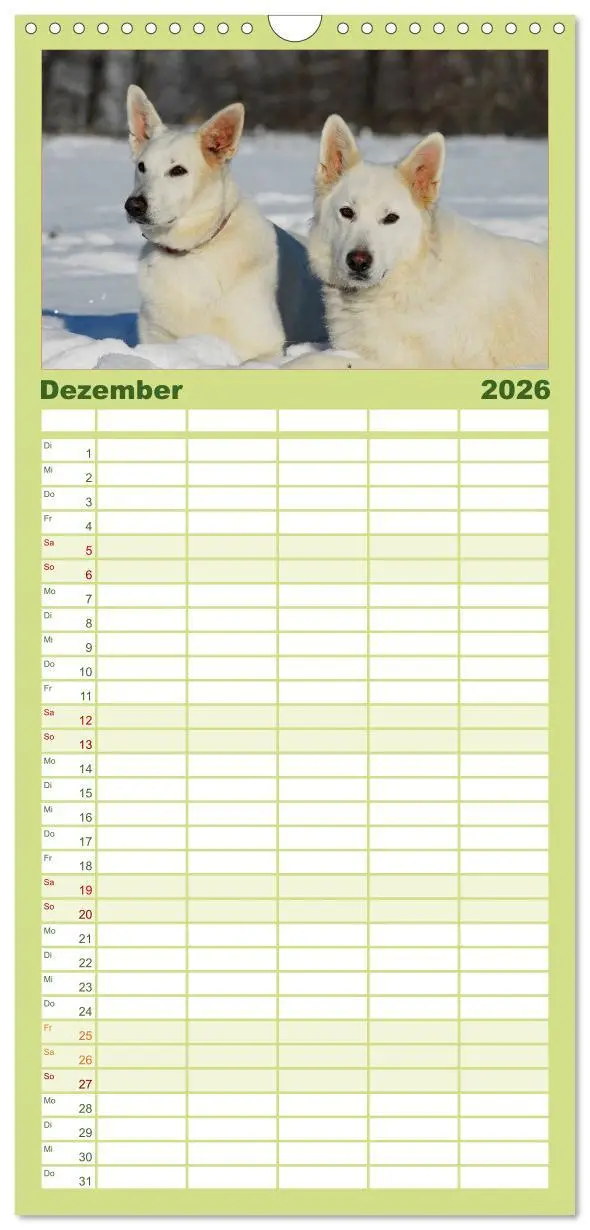 Bild: 9783516519785 | Familienplaner 2026 - Weißer Schweizer Schäferhund mit 5 Spalten...