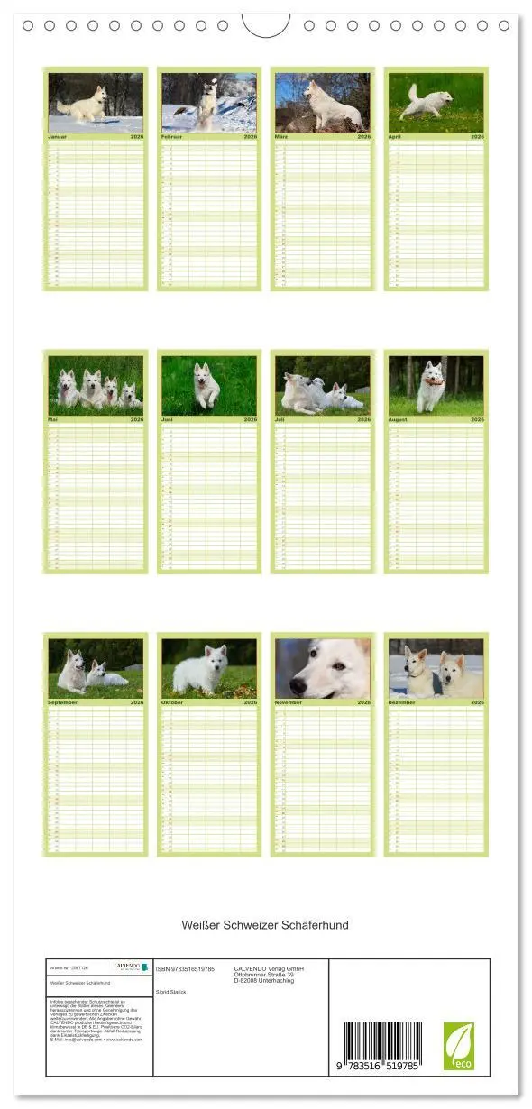 Bild: 9783516519785 | Familienplaner 2026 - Weißer Schweizer Schäferhund mit 5 Spalten...