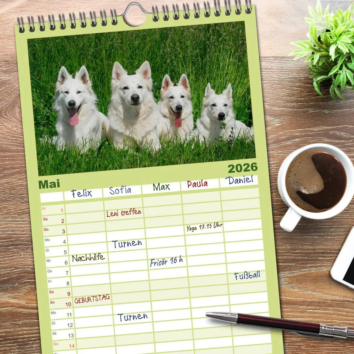 Bild: 9783516519785 | Familienplaner 2026 - Weißer Schweizer Schäferhund mit 5 Spalten...