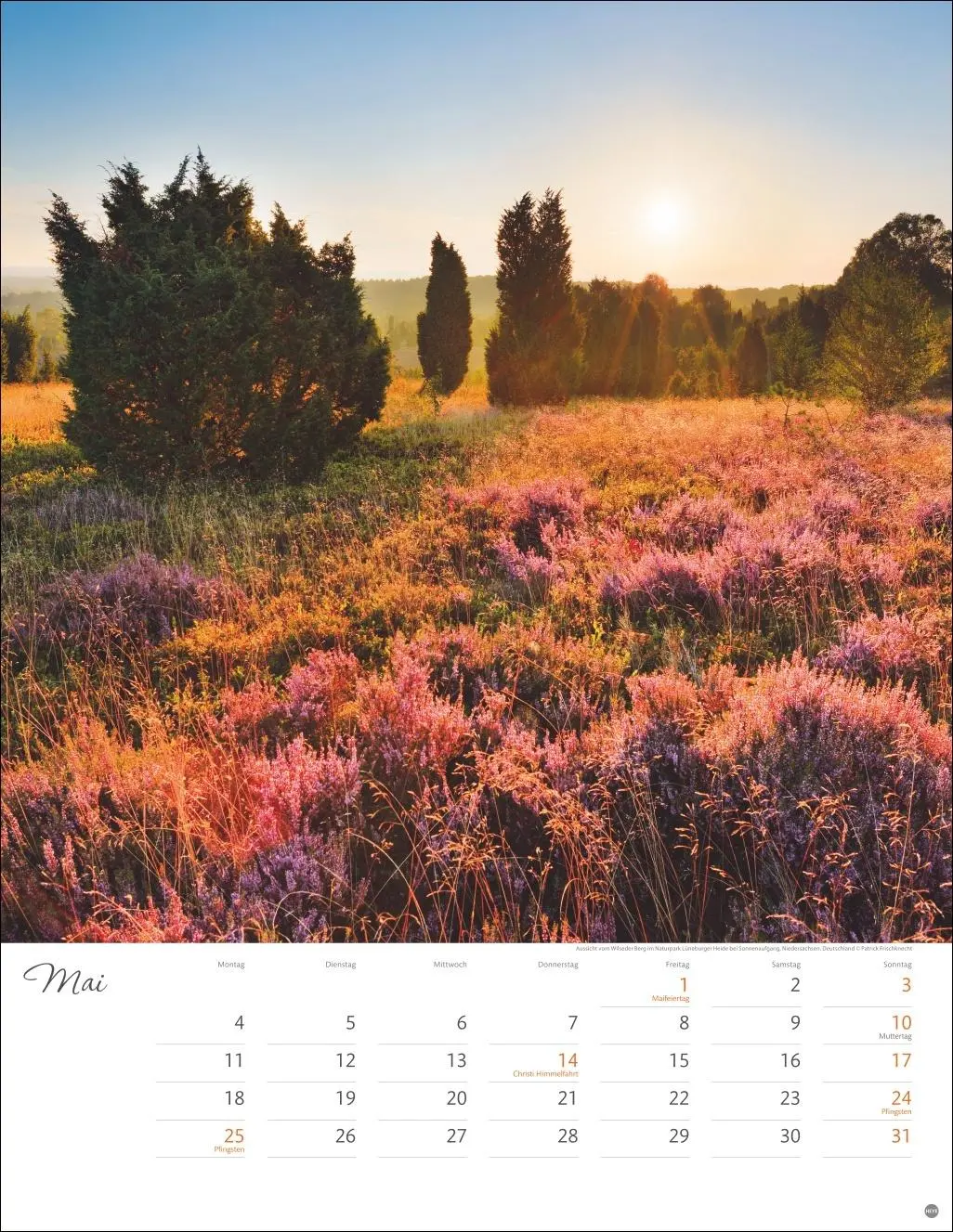 Bild: 9783756409785 | Jenseits der Hast Posterkalender 2026 | Heye | Kalender | 14 S. | 2026