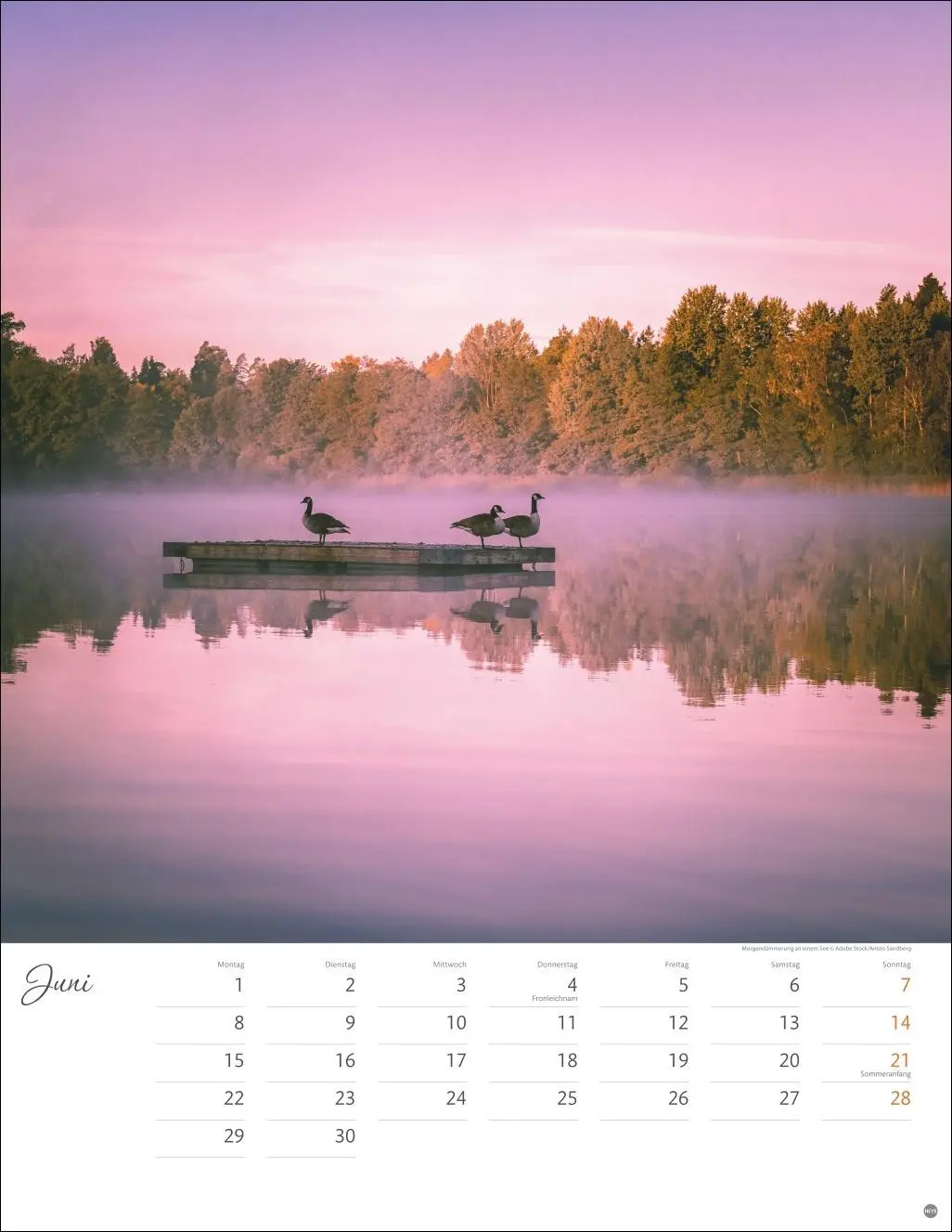 Bild: 9783756409785 | Jenseits der Hast Posterkalender 2026 | Heye | Kalender | 14 S. | 2026