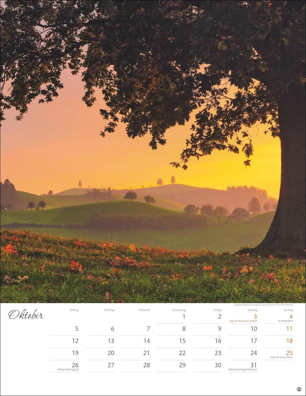 Bild: 9783756409785 | Jenseits der Hast Posterkalender 2026 | Heye | Kalender | 14 S. | 2026