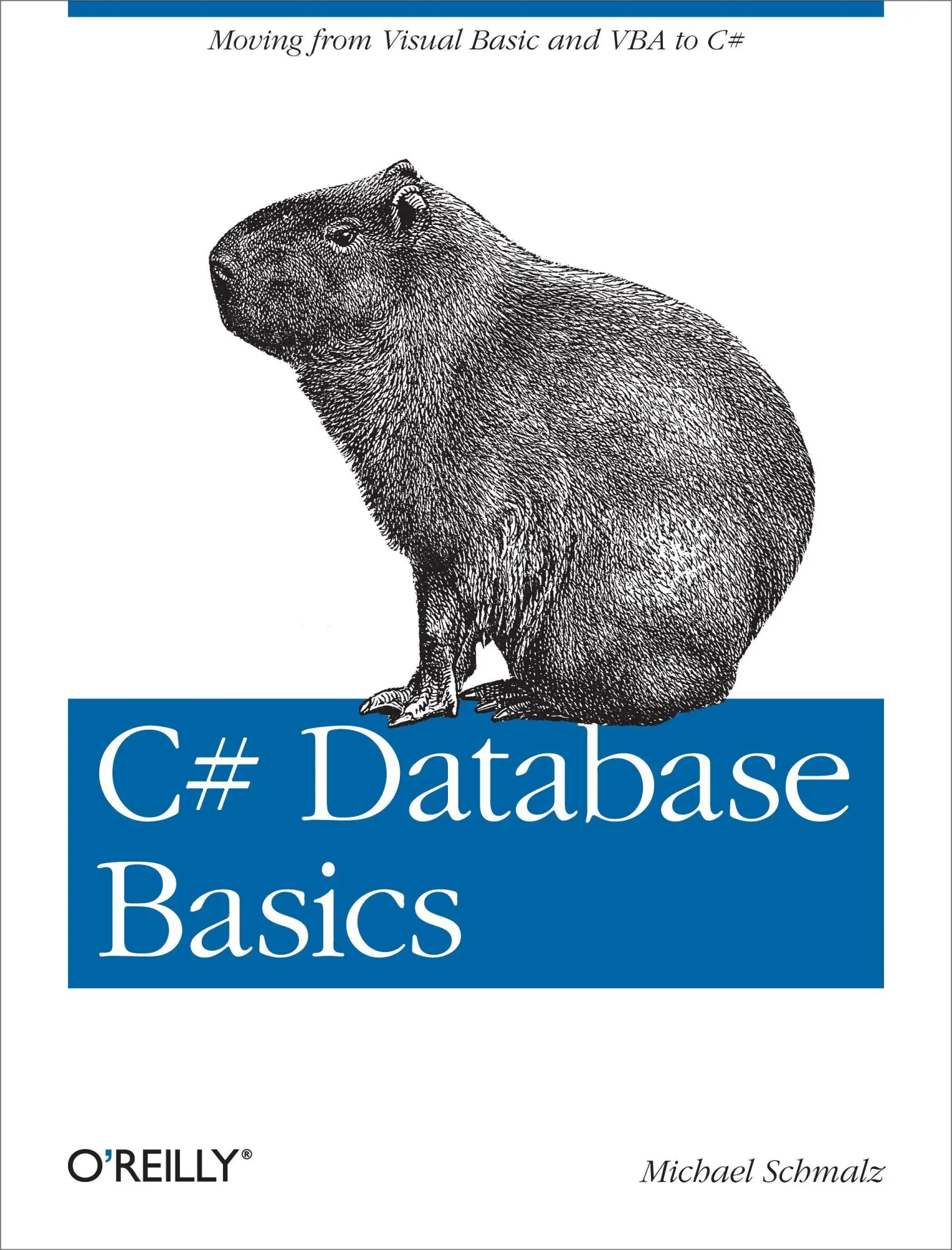 Cover: 9781449309985 | C# Database Basics | Moving from Visual Basic and VBA to C | Schmalz